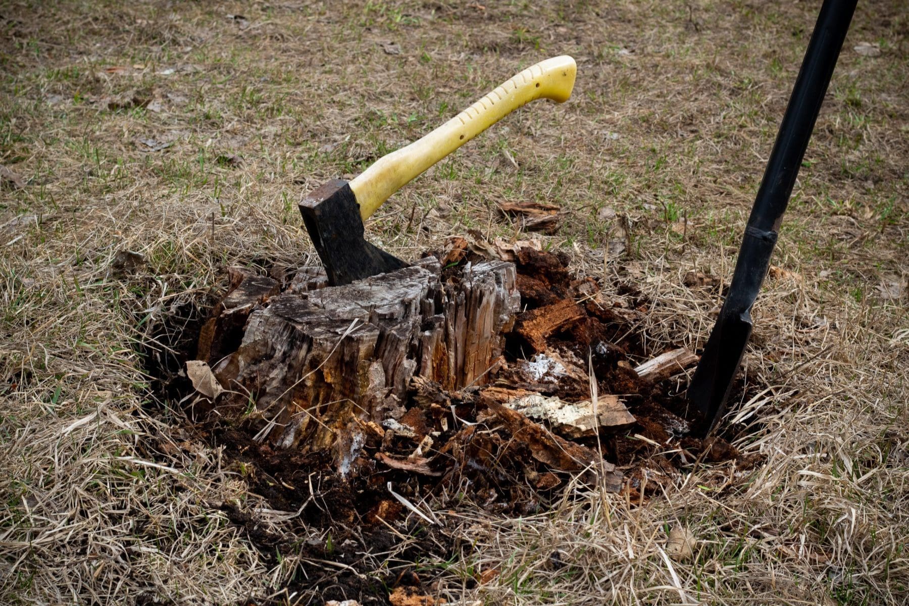 Axe in stump with pick dig into the side of stump.